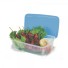 POTE RETANGULAR AVULSO 2,8LTS TRANSP.