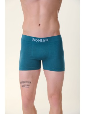 Cueca Boxer Adulto Verde G Masculina com Tecido Macio, Cós Reforçado e Modelagem Anatômica para Máximo Conforto Diário
