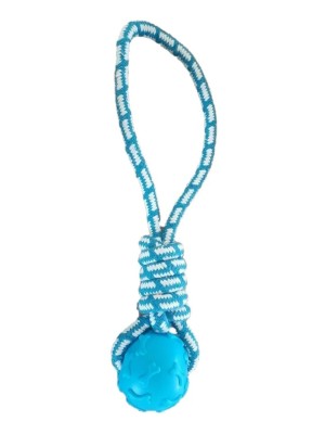 MORDEDOR BOLA PET 33X6CM UN.